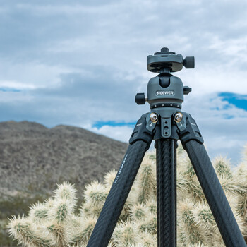 Professional tripod with ball head mounted in desert landscape with Joshua trees and mountains.