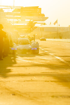 Industrial lot bathed in golden hour sunlight with trucks and equipment casting long shadows.