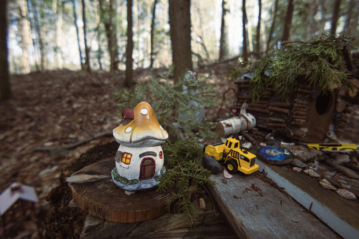 Miniature mushroom house and toy vehicles arranged on a fallen log in a forest setting.