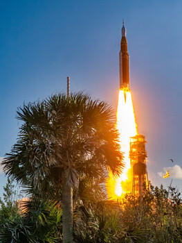 Rocket launching at dusk with bright orange flames illuminating a palm tree in the foreground.