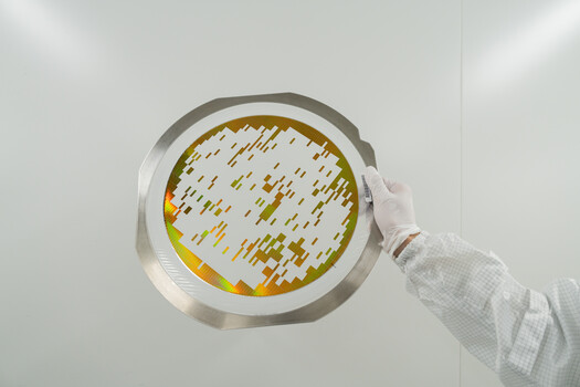 Petri dish with bacterial or fungal colonies held up to laboratory light by gloved hand.