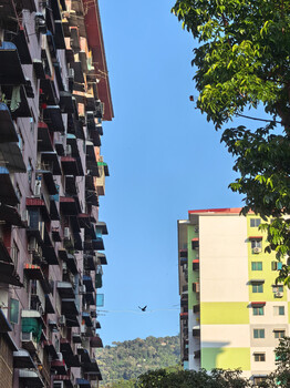 Urban residential buildings photographed against clear blue sky with green foliage in foreground.
