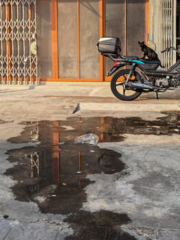 Motorcycle parked beside a puddle reflecting wooden storefront doors and metal security gate.