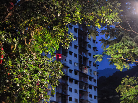 Blue apartment building at dusk framed by illuminated green foliage.