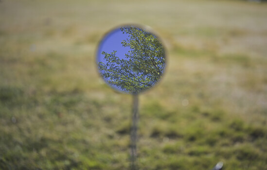 A reflective sphere mounted on a pole captures an inverted tree and blue sky in its mirrored surface.