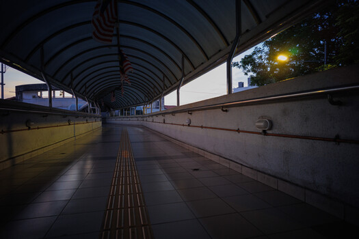 Empty subway platform with curved ceiling and tactile paving under twilight lighting.
