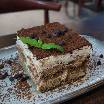 Tiramisu dessert square on white plate with cocoa powder dusting and mint garnish.