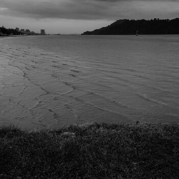 Black and white landscape of a calm bay with grassy foreground, forested shoreline, and overcast sky.