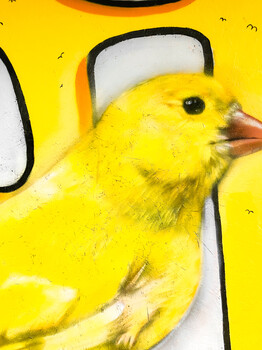 Bright yellow canary perched against a yellow background with curved black lines.