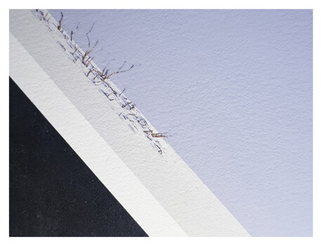 Surgical sutures on white bandage against blue background.