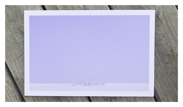 Printed photograph with lavender gradient background and small silhouette figures at bottom center.