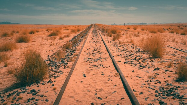 Railroad tracks converging toward the horizon across an arid desert landscape with sparse vegetation.