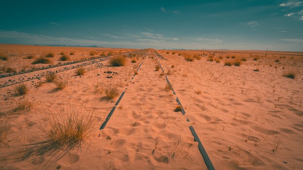 Drip irrigation lines stretching across arid desert landscape with sparse vegetation under clear sky.