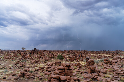 Thunder Bolts striking the ground at valley of gods near the quiver  tree forest