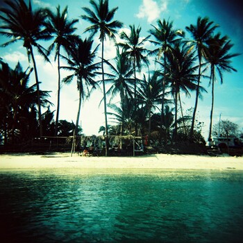 Tropical beach with palm trees and turquoise water shot in vintage color film
