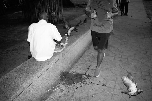 Black and white street photography showing a person in white shirt crouching near a curb with a pigeon in the foreground