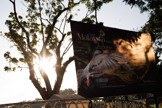 Large billboard featuring a bird in flight against backlit trees at golden hour