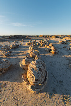 Golden hour light illuminating sculptural rock formations in shallow water on a desert beach