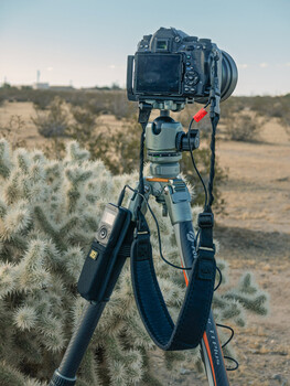 DSLR camera mounted on tripod in desert landscape with cholla cacti