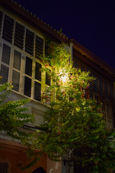Historic building facade at night with architectural ivy lighting and louvered windows