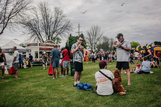 Crowd of people and dogs gathered on a grass field at an outdoor festival or community event