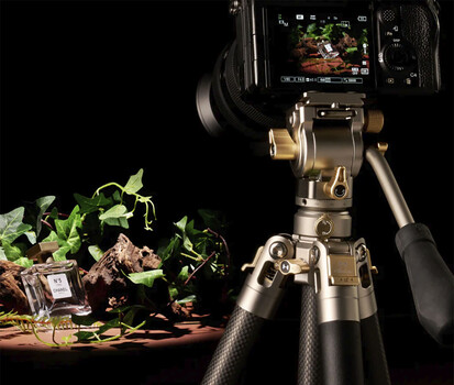Professional camera on tripod filming potted plants against black background with studio lighting
