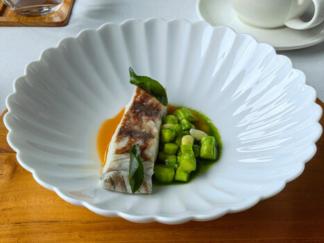 Plated fine dining dish with seared fish, charred green vegetable, and orange sauce on white shell-shaped plate