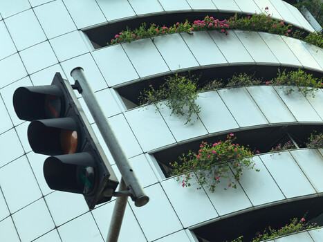 Traffic light against modern building facade with stacked curved balconies featuring vegetation