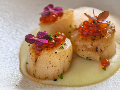 Plated scallops with cauliflower puree, caviar, and purple flowers