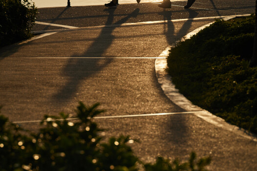 Long shadows cast across a paved pathway during golden hour with manicured hedges lining the walkway