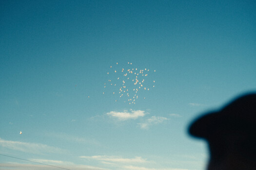 Flock of birds dispersing across clear blue sky with blurred foreground element