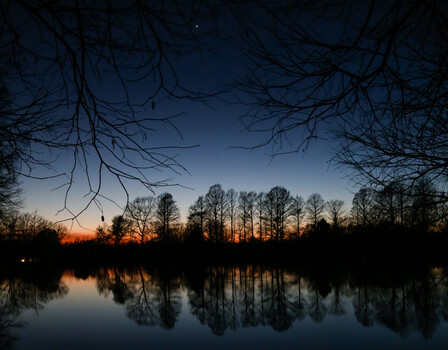 Bare trees reflected in still water at dusk with orange sunset glow on horizon