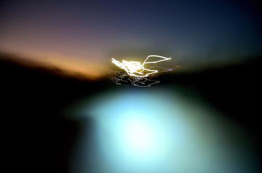 Intentional camera movement. Trying out new genres of photography can be a lot of fun, and a great challenge!