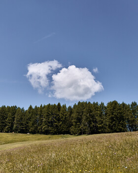 White cumulus cloud over a coniferous forest and green field under blue sky