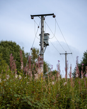 Wooden utility pole with transformer and power lines amid wildflowers under overcast sky