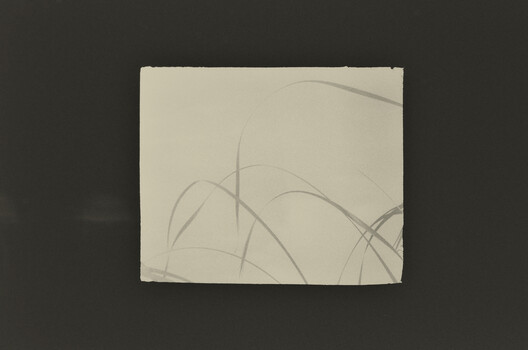 Pencil sketch on cream paper showing abstract curved lines and botanical forms