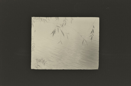 Delicate pencil sketch of willow branches and water reflections on aged paper