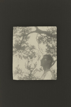 Profile silhouette of a woman looking upward with tree branches overhead