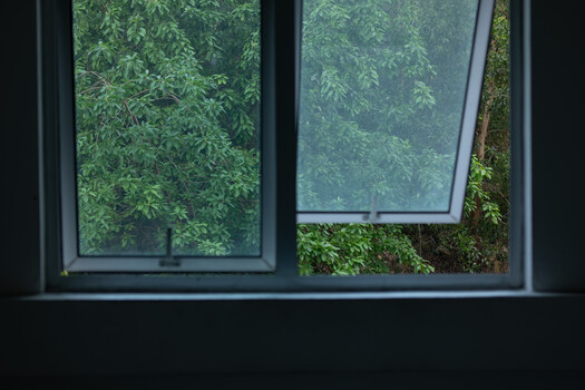 Two dark-framed windows with views of lush green foliage and trees