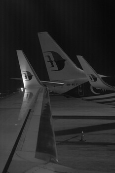 Aircraft tail fins lined up at night in black and white