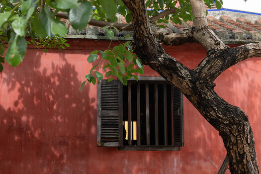 Gnarled tree branch casting shadows on terracotta wall with black-shuttered window