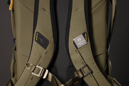 Rear view of a tan and black backpack with padded shoulder straps and adjustment buckles