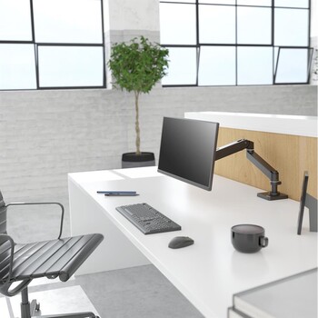 Ergotron LX Desk Monitor Arm