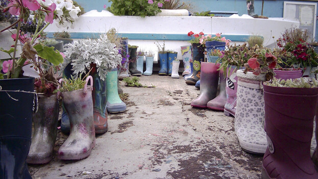 Garden pathway lined with repurposed rubber boots planted with flowers