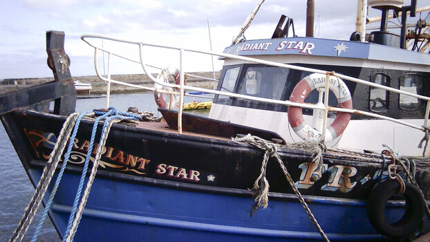 Moored fishing vessel with blue hull and white wheelhouse bearing "Radiant Star" name