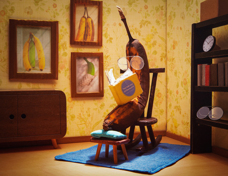 Image "The last one of the bunch" by Juhamatti Vahdersalo