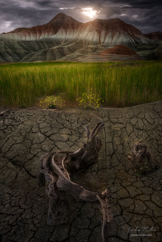 Image "Nature's Duality" by SANDEEP MATHUR