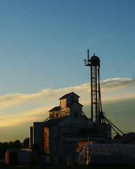 Image "Dawn on Farm" by Seth Derrick