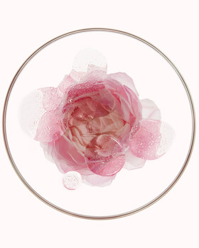 Image "Untitled 4" by Courtney Dailey