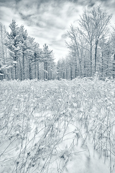 View Untitled 3 by Alan McCord